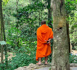 Magic Buddha Garden
