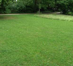 Kollmannspark