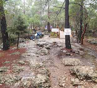 Fußweg vom Parkplatz zum Adlerauge