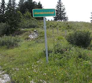 Rossfeld Panorama Straße