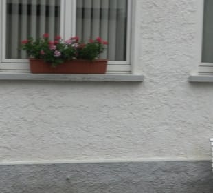 Freikirchlicher Bund der Gemeinde Gottes