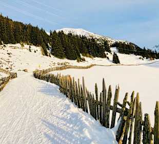 Wandern Ochsengarten