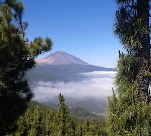 Teide