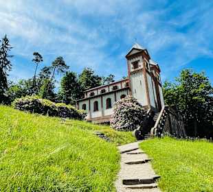 Wandern Dammbach