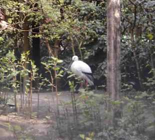 Weltvogelpark Walsrode