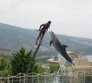 Dolphinpark
