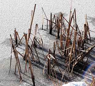 Winterspaziergang durch den Bürgerpark