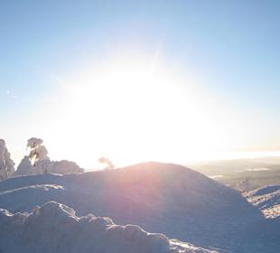 Herrlicher Wintertag