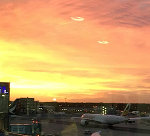 Flughafen Frankfurt am Main (FRA)