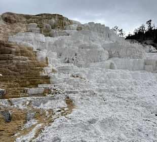Yellowstone Nationalpark