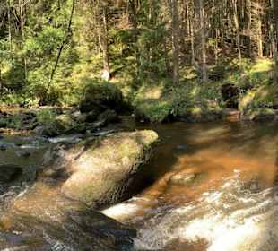 Wandern Zwettl
