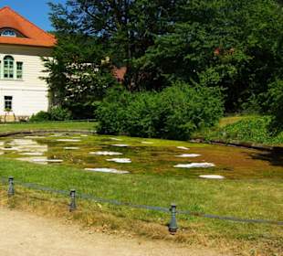 Mini-Schloss-Teich