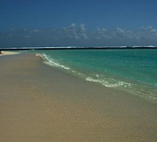 Strand am Ningaloo Reef