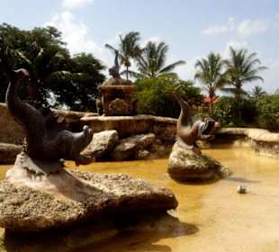 Wycieczka, rajskie Karaiby