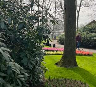 Keukenhof Holland