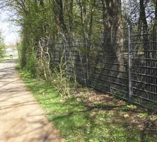 Sport- und Freizeitpark Markwasen
