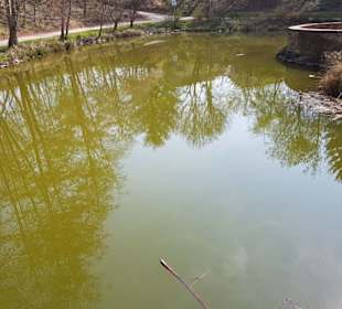 Der schöne angelegte Teich