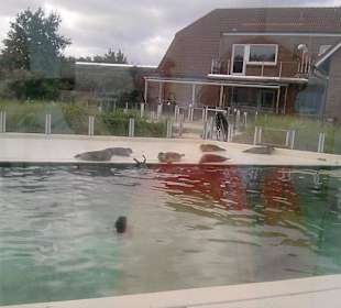 Seehundstation Norddeich