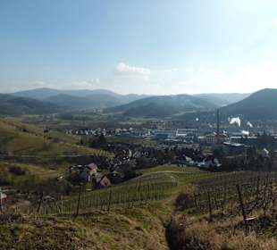 Oberkirch Weinwanderung Panorama