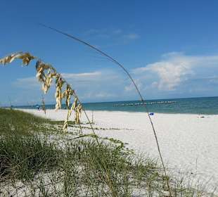 In 20 Minuten fußläufig zu erreichen
