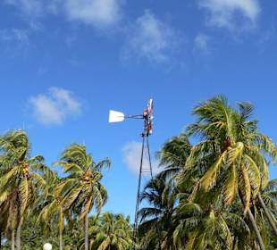 Parque Retiro Josone