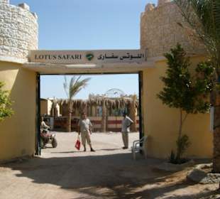 Eingang zum Lotus Safari Camp
