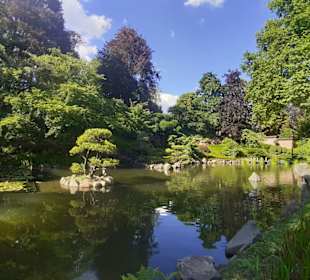 Japanischer Garten in Kaiserslautern