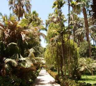 Botanischer Garten in Assuan