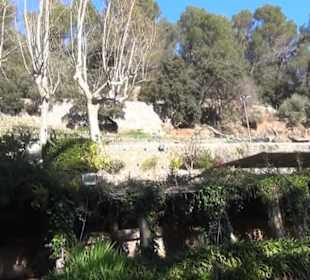 Gartenanlage - Spektakel im Garten