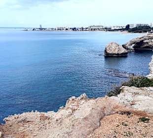 Ayia Napa Bogen Monachus Monachus