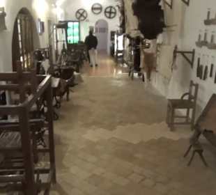 Erdgeschoss - Häute + Felle