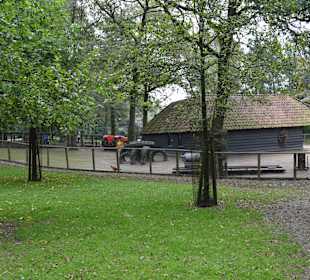 Park
