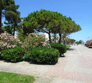 Rundgang über die Strandpromenade Argelès-Plage