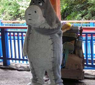 Hier wartet jemand auf Besuch