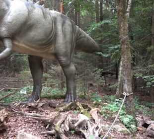 Dinosaurier Museum Altmühltal