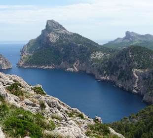 Blick v. Aussichtsplattform