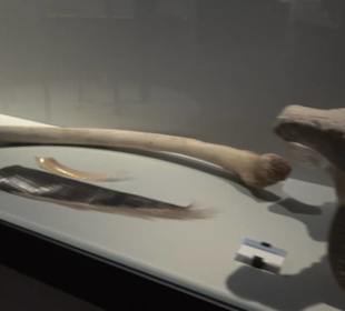 Deutsches Technikmuseum