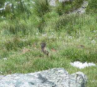 Grossglockner Hochalpenstrasse