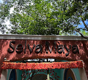 Weg zur Cenote und zum Mittagessen.