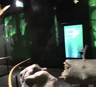 Naturparkzentrum Ruhestein