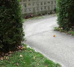 Hauptfriedhof Friedrichshafen