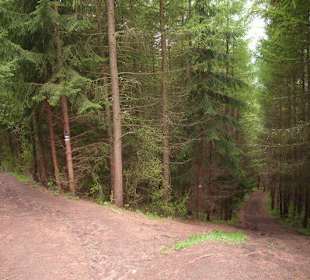 Der Rückweg