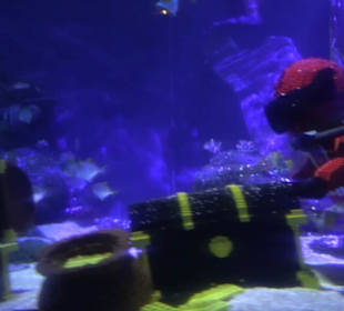  Lego X-Treme - Legoland Atlantis by SEA LIFE