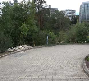 Botanischer Garten