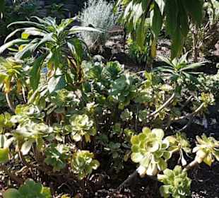 Botanischer Garten 