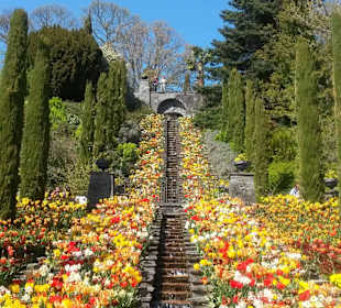 Mainau