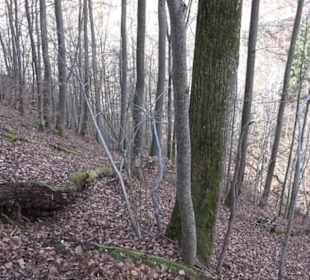 Wolfsschlucht
