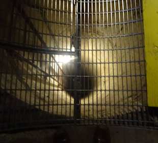 Hier geht es tief runter