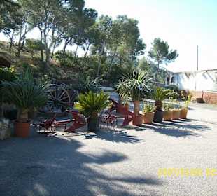 Vor dem Rancho la Romana