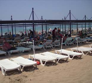 Gegen halb zwölf immer noch freie Liegen